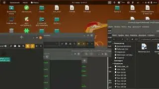 🤝 🌎 Linux development example 20.04 build nemo | операция десегрегация зачистка ЦБ