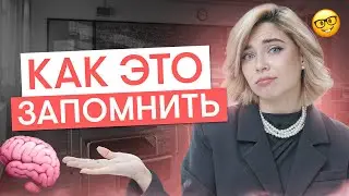 Как учить теорию просто и эффективно?  | Обществознание ЕГЭ с Олей Вебер 2026 | СМИТАП
