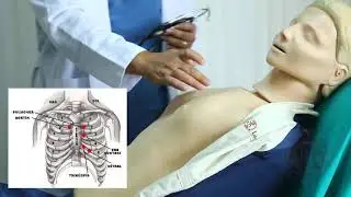 COMÜ Kardiyovasküler Sistem Muayenesi
