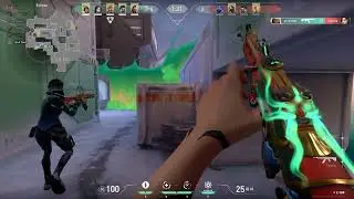 Reyna Ace Icebox