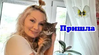 ВЛОГ: БЛУДНАЯ ДОЧЬ ВЕРНУЛАСЬ/ ДЕЛАЕМ ТОРТИК/