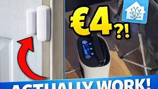 5 Smart Home Gadgets Under Budget That Don’t Suck