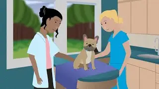 Fear Free Vaccine Visits  Here's How!