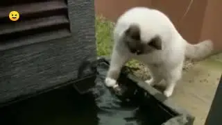 Когда в друзьях согласье есть