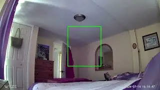 Orbs - Security Camera