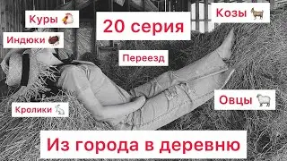Из города в деревню. 20 серия. Переезд. Первые жители нашей фермы.