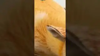 Пов: мои видео в 3 часа ночи: 