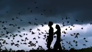 Sky light San lighti 💕😍ye dil ban jaye pathar ka whatsapp status