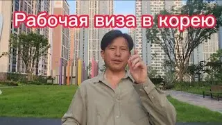 Как сделать рабочую визу в КОРЕЮ! Как быстро найти РАБОТУ 