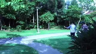 moon at the park