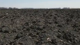 Soil Sampling and Testing - Soy Insight