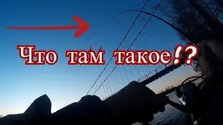 Рыбалка на реке Катунь. ШОК!