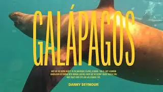 Snorkelling in the Galápagos Islands (GoPro Hero 11)