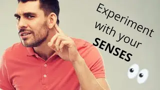 Senses experiment (sight and hearing experiment)