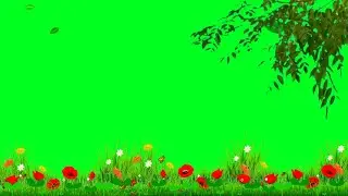 3D Bewafa Girl Green Screen Status Green Screen effect Green Screen Love Green Screen video Full HD
