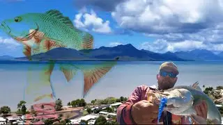 HINCHINBROOK | jacks & Barra