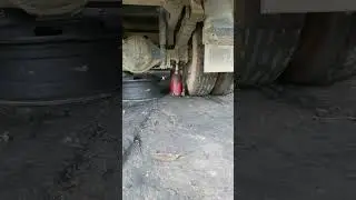 Pasang Dongrak Tahan Peke Pelk