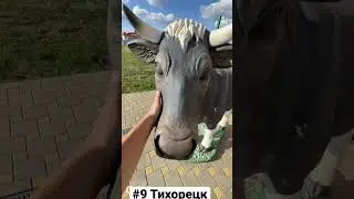 ТИХОРЕ́ЦК, Краснодарский Край | Один день - один город | Лысый