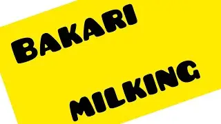 #Bakari   #milking