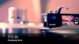 R.E.M. - Everybody Hurts [Vinyl HD]