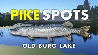 Russian Fishing 4 PIKE SPOTS Old Burg Lake