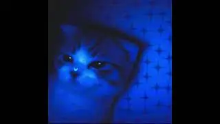 Two Feet - Nightmares (speed up)