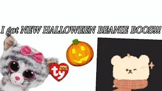 I got NEW HALLOWEEN beanie boos!!!