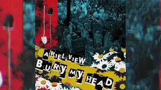Ariel View - 