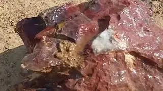 Гора ПОЛКОВНИК в поисках Орской яшмы