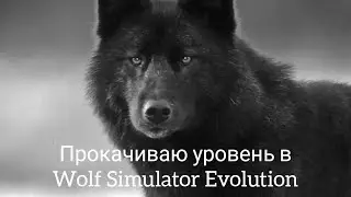 качаю уровень в симуляторе волка