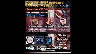 Endoscopic Approaches for Vestibular Schwannoma