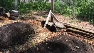 2020.05.27 Vegetable Garden Tour