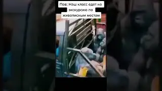 TicTok мем🎶😅 #shorts