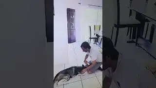 Athena's Training