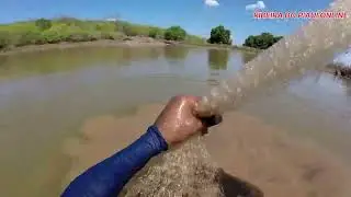 pescaria com Tarrafa , olha o tamanho da trai no final do vídeo