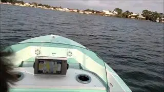24 HV Fat Cat Running Footage