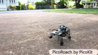 PicoRoach walking Hexapod Robot by PicoKit.wmv