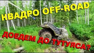 Off-Road на квадроциклах. Сможем ли доехать до Тутуяса?