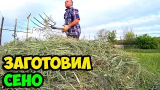Сюжет из жизни в деревне о том, как я заготовил сено на зиму с подконтрольной мне территории в 2022