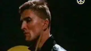 DAF - Greif nach den Sternen