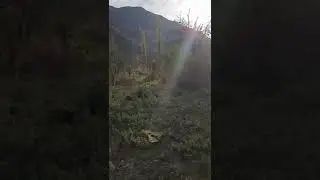 Таги Шакшак Тирамоҳ зиқи вақт!💯💫💣