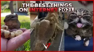 The best things on the internet (2021)