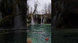 Relatos distópicos I
