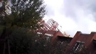 Что будет если лучшего друга посадить на плечи и прайтись по улице