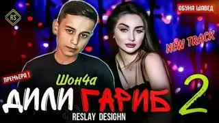 Shon4a дили гариб 2