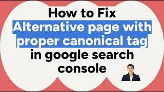 Alternative page with proper canonical tag | Google Search Console