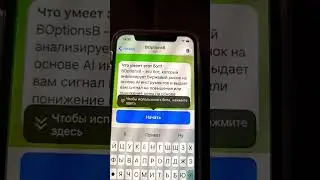 BOptionsB - Инструкция как пользоваться ботом для Бинариум и Pocket Option