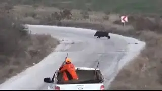 DEMİRCİ GÜMELE VE KİLLİK  YABAN DOMUZU AVLARI (Turkey Wild Boar Hunt 02.01. 2022 )