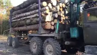 Урал 5557 лесовоз. Вывожу лес. Взорвалось колесо.