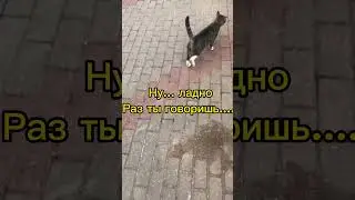Разборки на районе